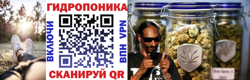 Купить где  Кемь  МАРИХУАНА Amnesia 